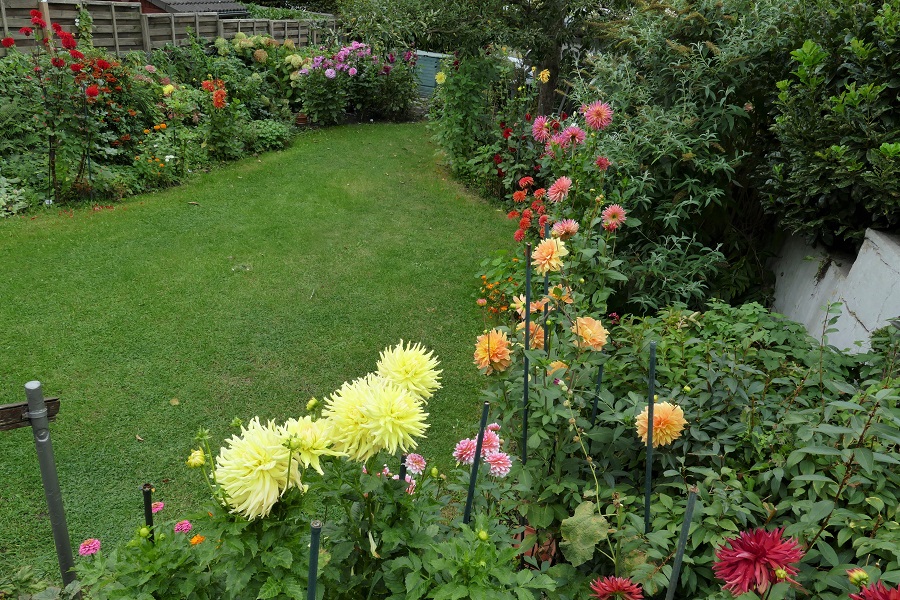 Unser Garten  1