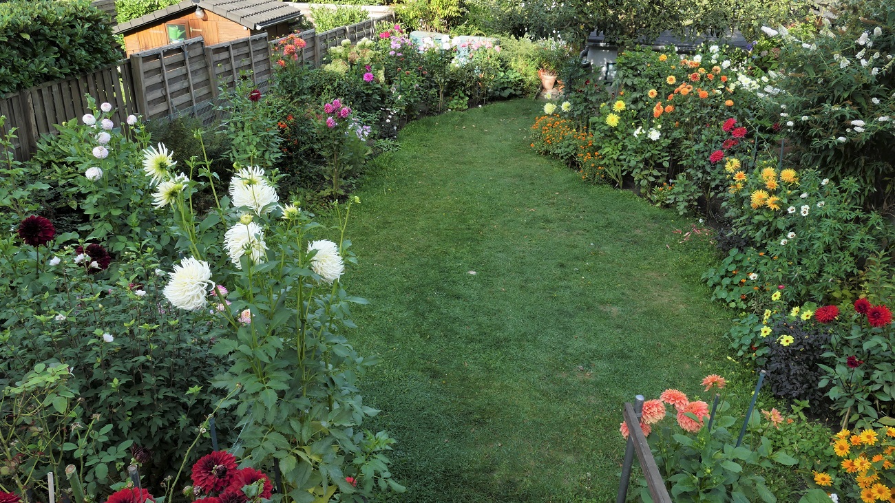 Garten unterer Bereich 2