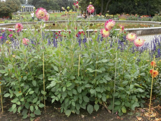 Prüflinge von Ernst im Egapark