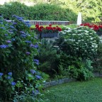 Garten (oberer Bereich. Schatten)