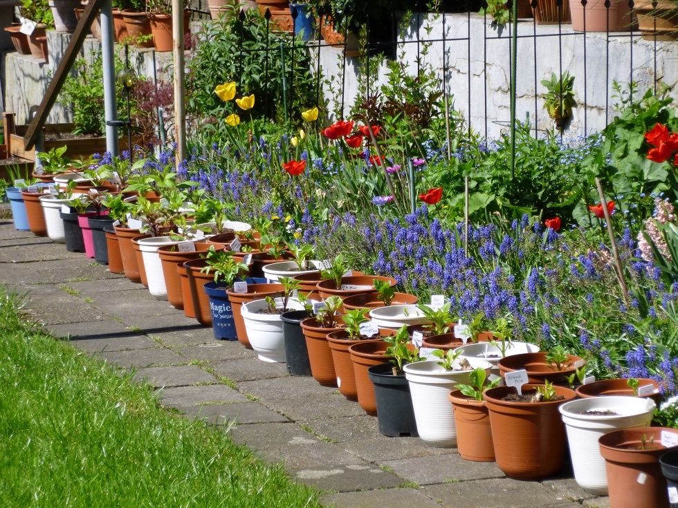 Same procedure as ...