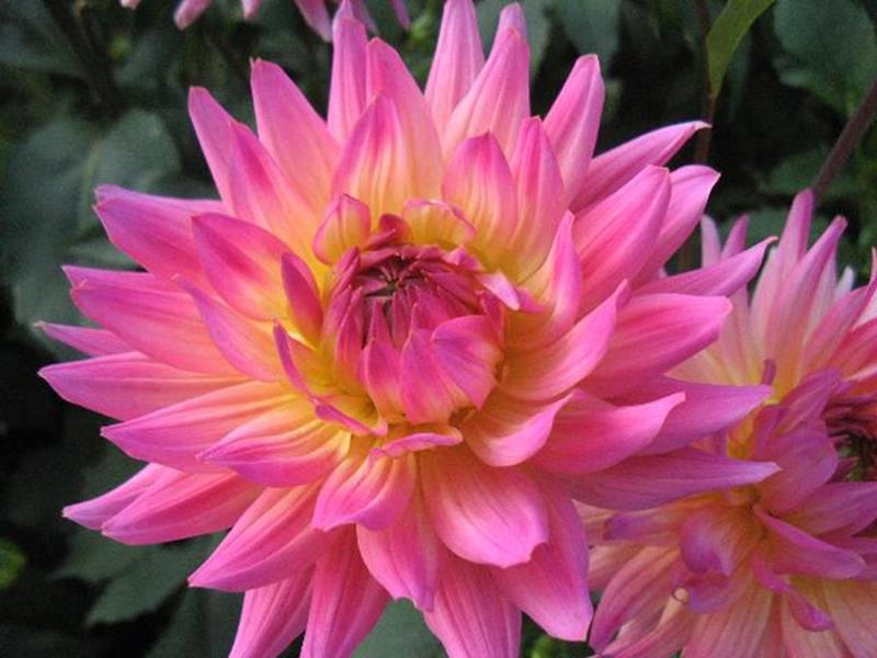 53 Buga München #1454