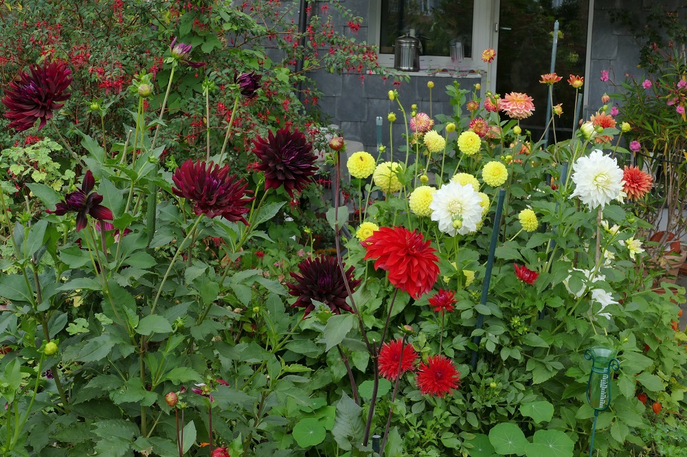 All der widrigen Wetterbedingungen zum Trotz.