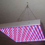 LED