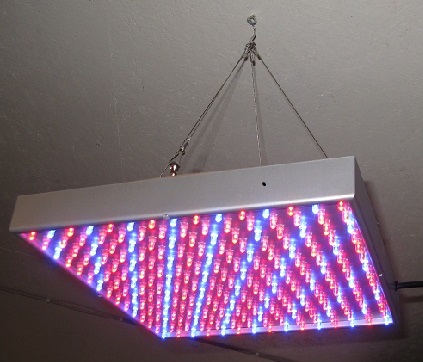 LED