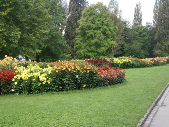 Mainau 1