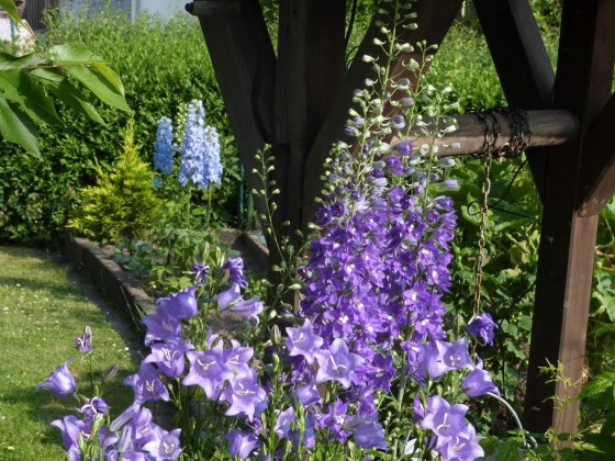 Mein Garten