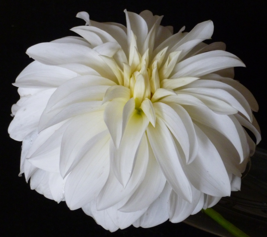 Irene von Preußen 2